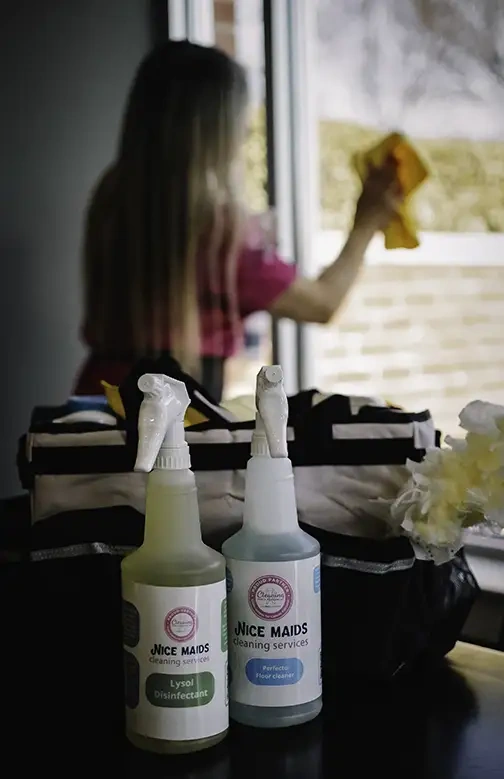 Professional cleaning service