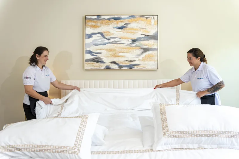 Spring cleaning by Nice Maids