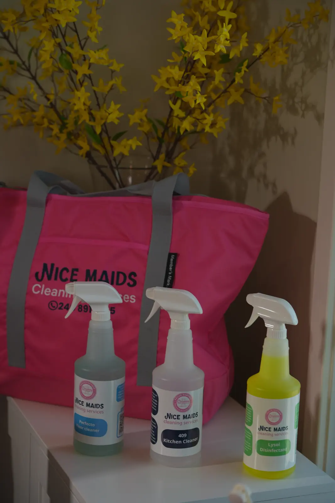 Nice Maids Cleaning project in Glenelg, MD